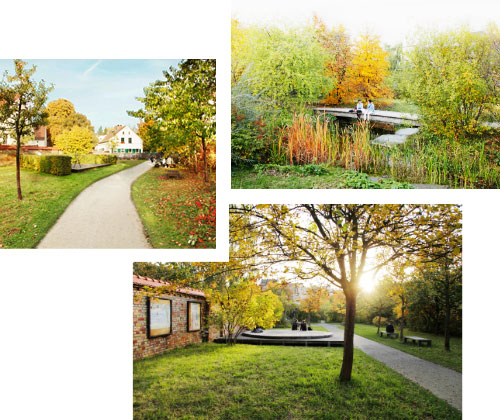 DER COMENIUS GARTEN — DIE KLEINE, GRÜNE OASE IN RIXDORF