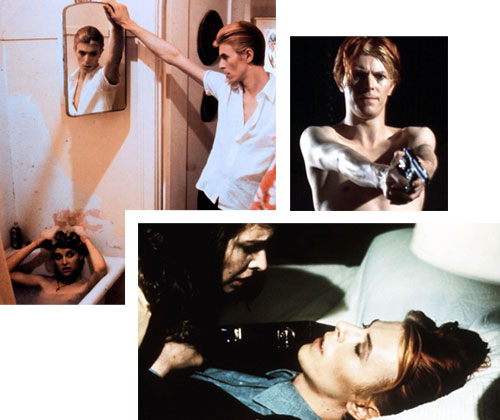 DAS GENIE, DAS VOM HIMMEL FIEL – HAPPY BIRTHDAY DAVID BOWIE!