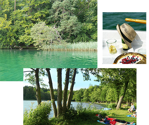 SPEND THE LAST DAYS OF SUMMER ROW BOATING ON STECHLINSEE