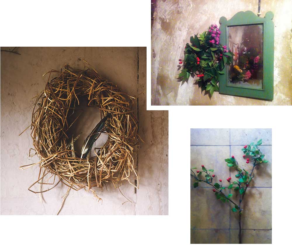 ADVENT WREATHS MADE WITH PLANTS FROM THE FOREST