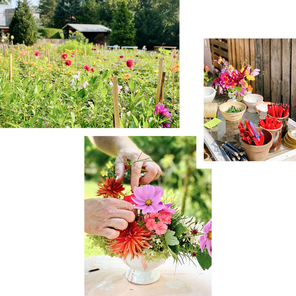 MAKE YOUR OWN LOCALLY-GROWN BOUQUETS — WORKSHOPS AT THE MARSANO FLOWER GARDEN