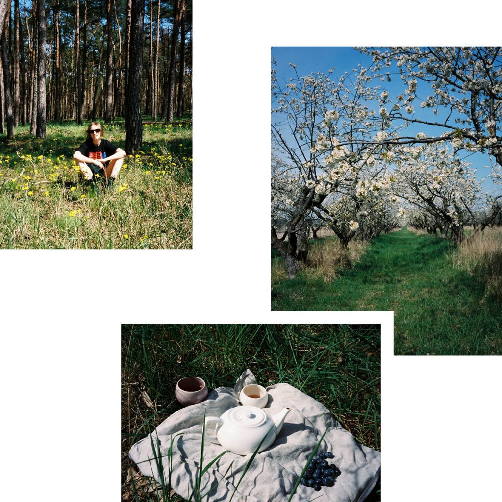 TRAIL WITH A SPRING MOOD: HIKING THROUGH ASPARAGUS FIELDS AND APPLE ORCHARDS TOWARDS GÖTZER BERG