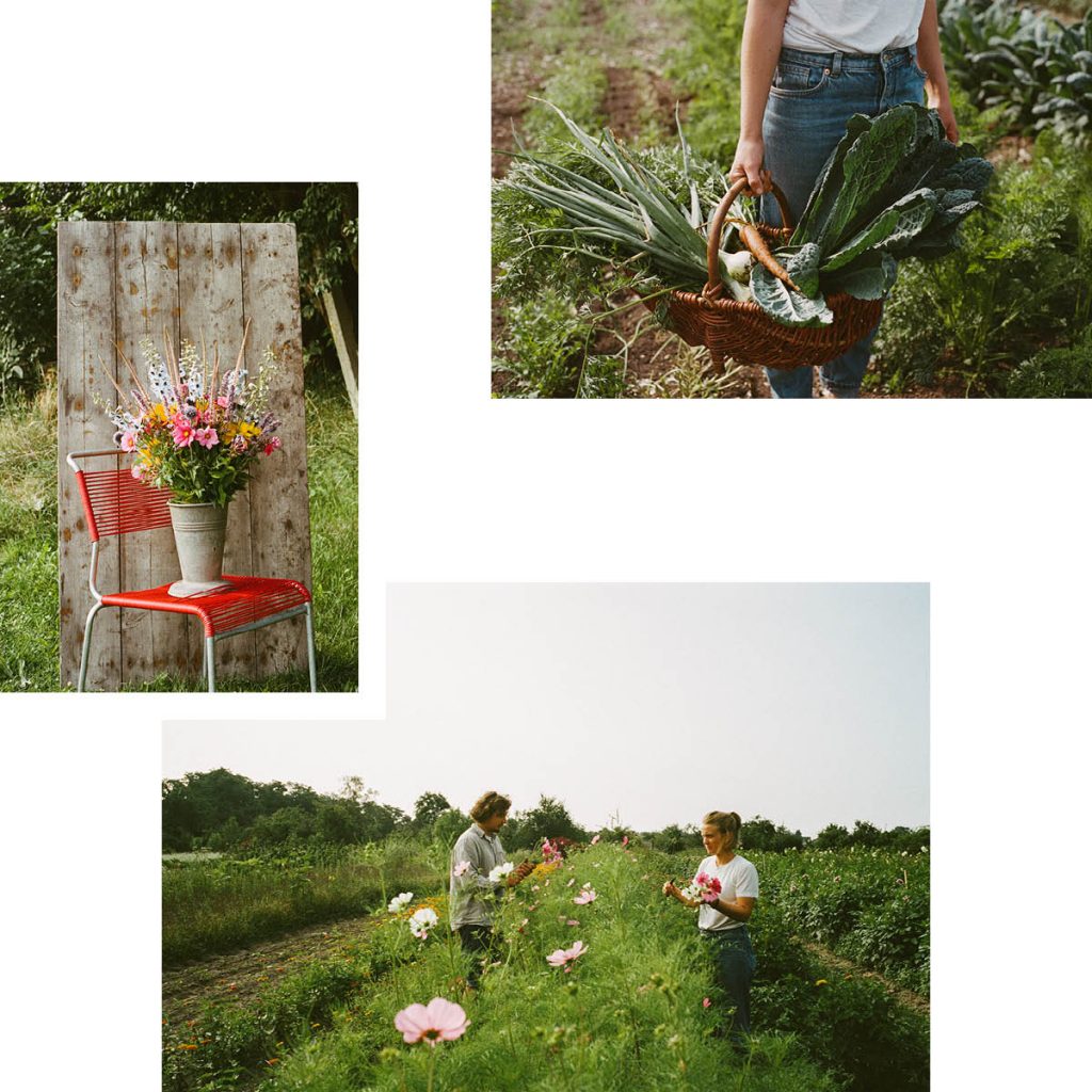 VON HAND — SUSTAINABLE FLOWERS & SEASONAL VEGETABLES FROM THE SOURCE, TO THE MARKET AND INTO THE MOUTH