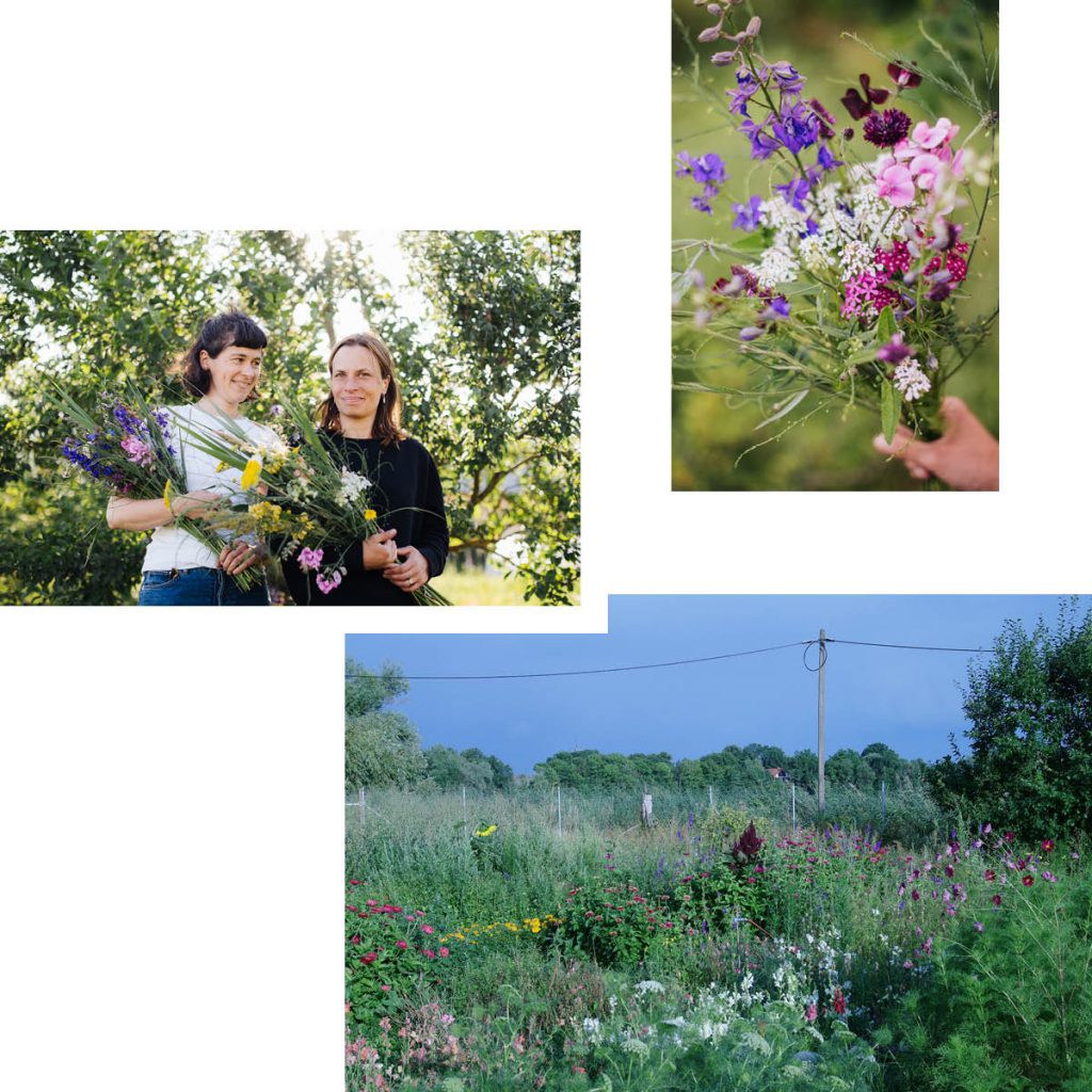 KRAUT & BLUME — OUTDOOR FLOWERS AND WILD BOUQUETS FROM POTSDAM
