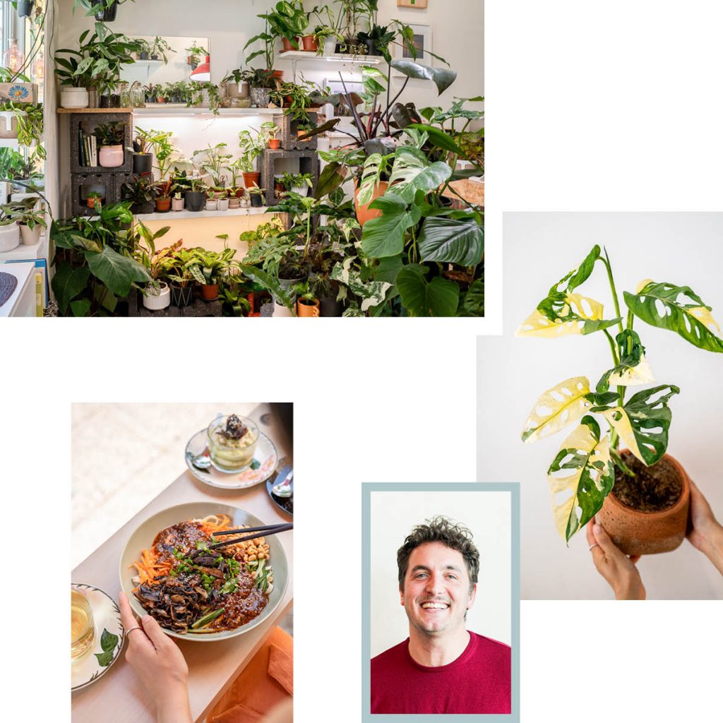 ROOTY PLANT HUB: BERLIN’S HIDDEN GEM FOR PLANT LOVERS — RECOMMENDED BY JEROEN OTTE