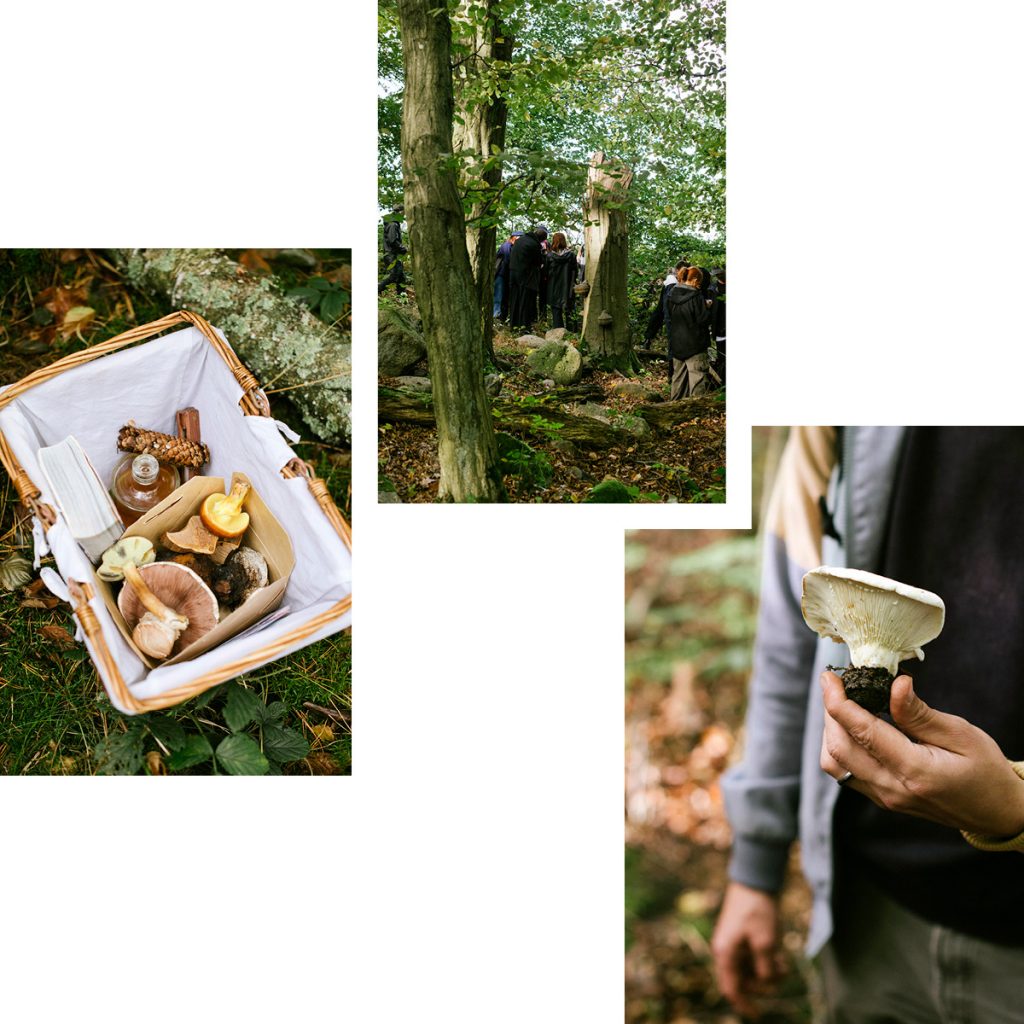 EXPLORING UCKERMARK’S WILDERNESS: A JOURNEY INTO FOREST FORAGING WITH MIRKO & SANDRA
