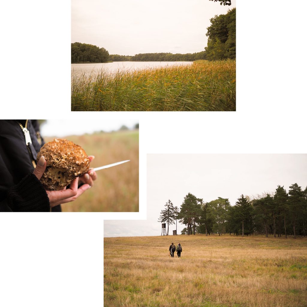 THREE LAKES IN ONE GO — CIRCULAR HIKE IN NORTHERN BRANDENBURG